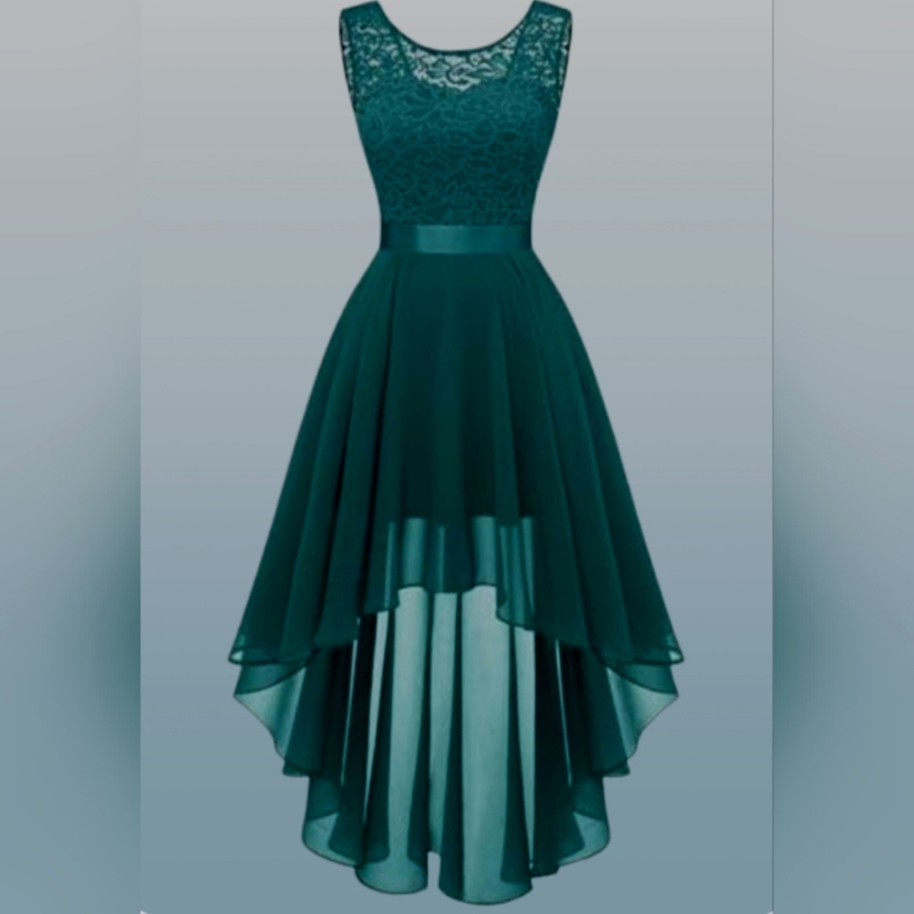 NWT Berry Love High Low Dress